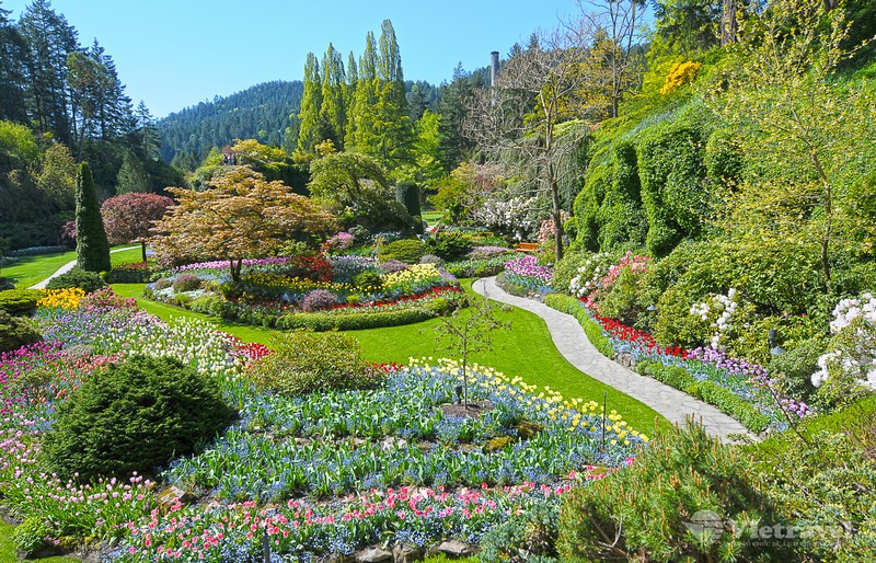 VANCOUVER – VICTORIA - VANCOUVER			                            (Số bữa ăn: 3 bữa)